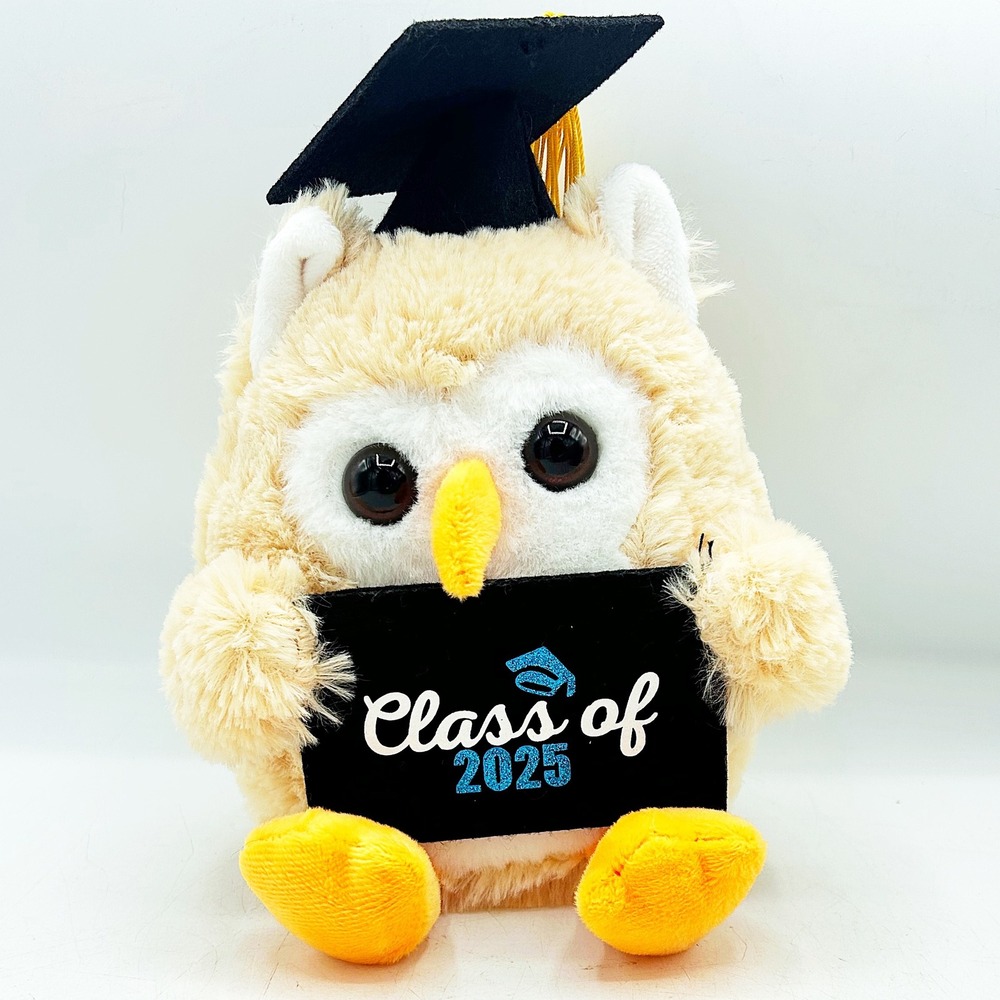 Walmart Graduation Owl Plush 8" Class of 2025 Mortarboard Tassel